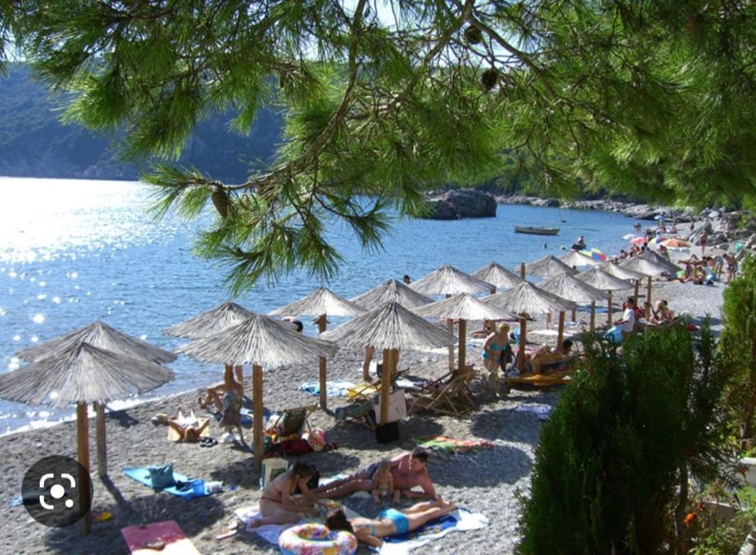 Deluxe Apartmani Vila Pejovic ストモレ エクステリア 写真