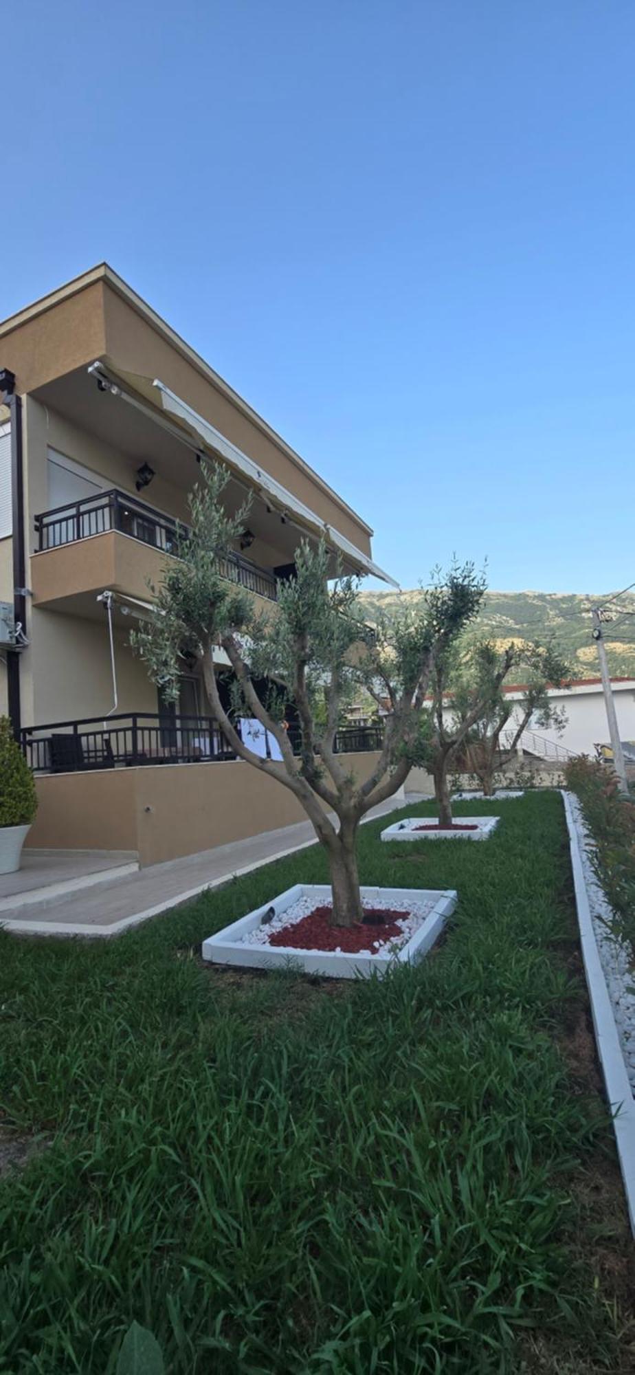 Deluxe Apartmani Vila Pejovic ストモレ エクステリア 写真