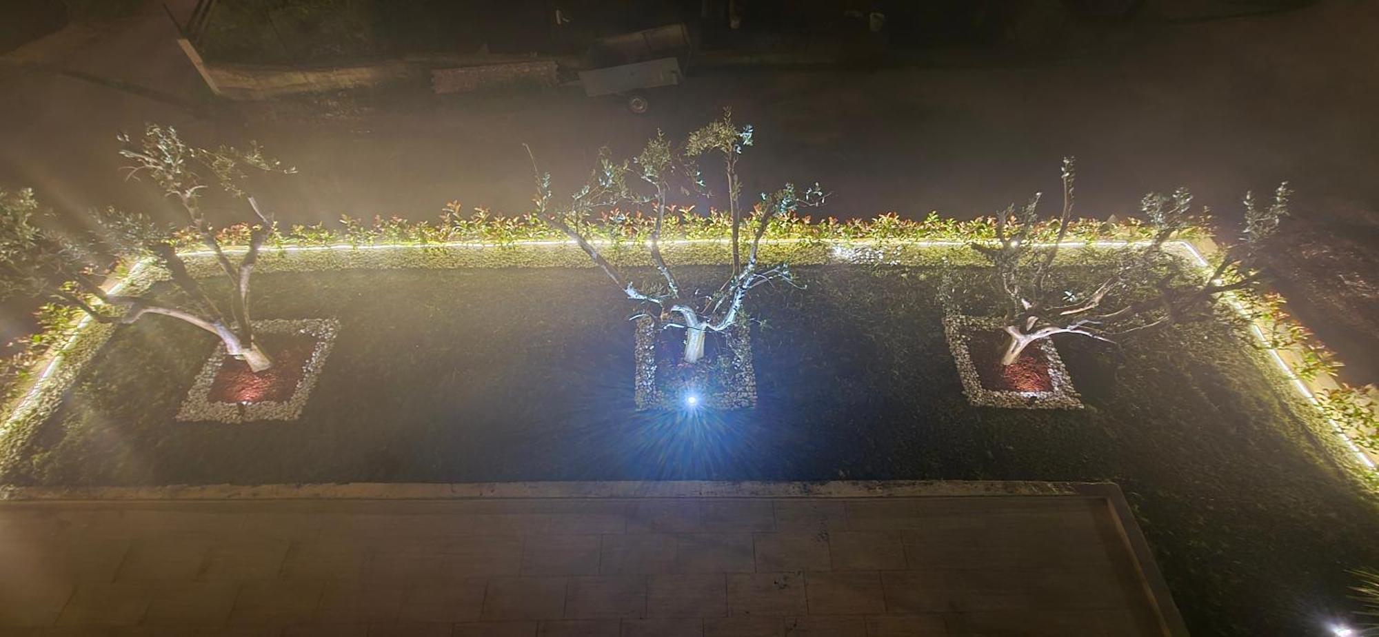 Deluxe Apartmani Vila Pejovic ストモレ エクステリア 写真